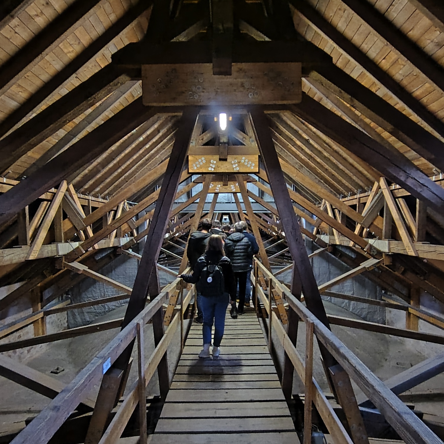 Die Jungwinzer im Dach des Doms 