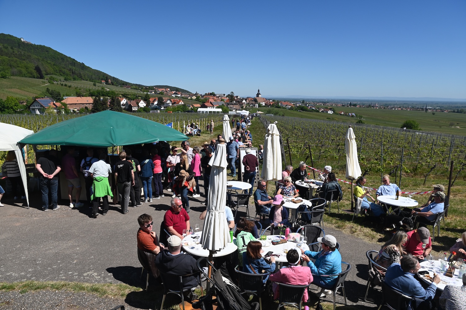 Weyherer Weinpanorama sorgte wieder für viel Freude